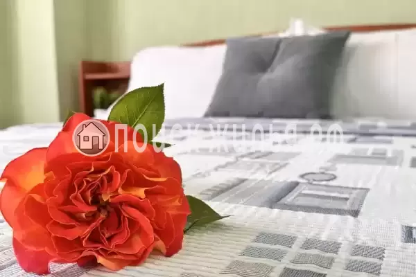 «Галатея» «Галатея»