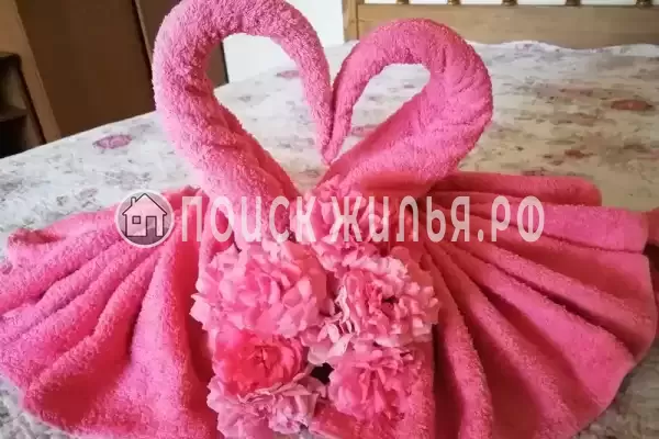 «Александрия»