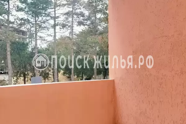 «Ассоль» «Ассоль»