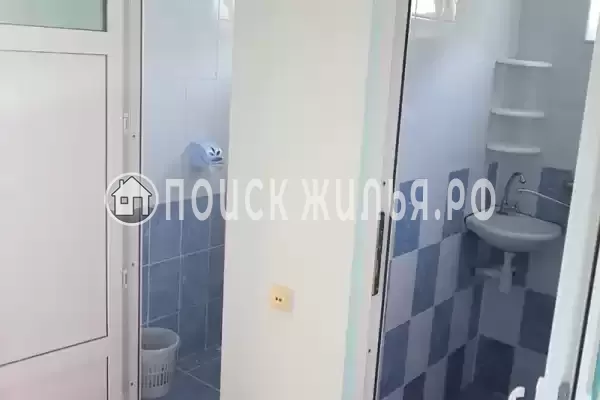 «Ореховая роща»