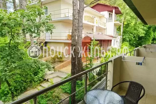 «Мирабель» «Мирабель»