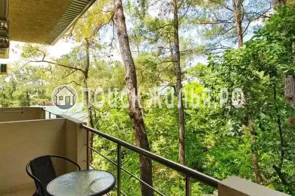 «Мирабель» «Мирабель»