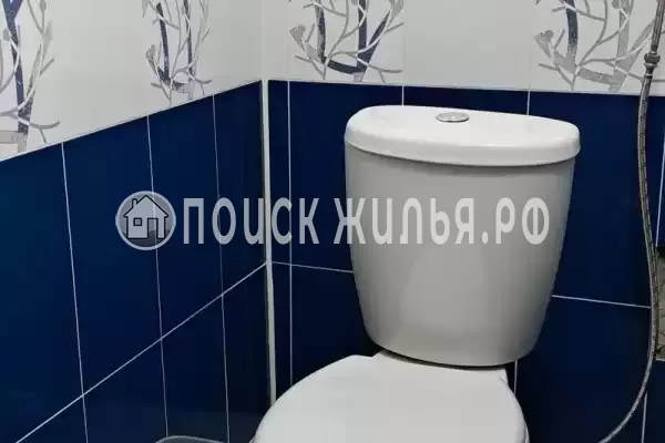 «На Гусь-Хрустальный»