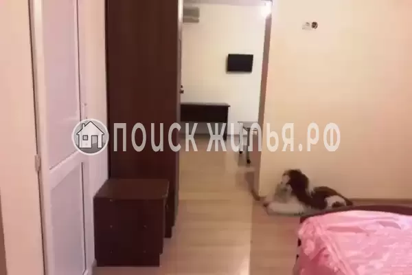 «Межгорье»