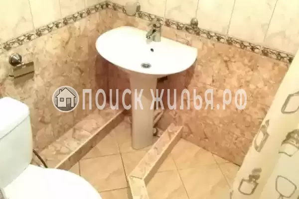 «Виола» «Виола»