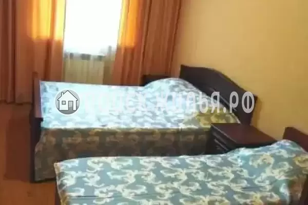 «Виола» «Виола»