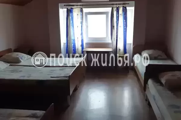 «Виола» «Виола»