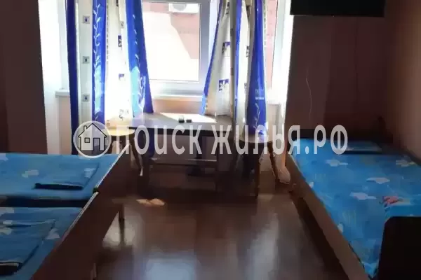 «Виола» «Виола»