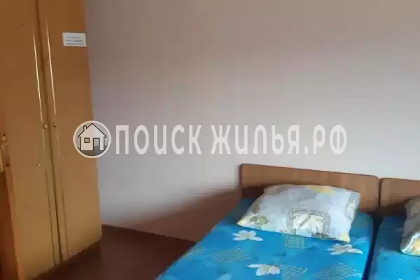 «Виола» «Виола»