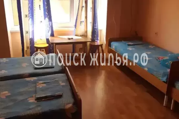 «Виола» «Виола»