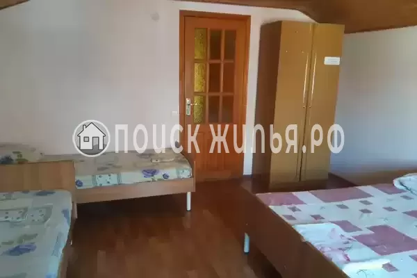 «Виола» «Виола»