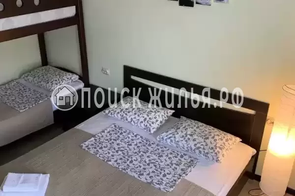 «Солнечная орхидея» «Солнечная орхидея»