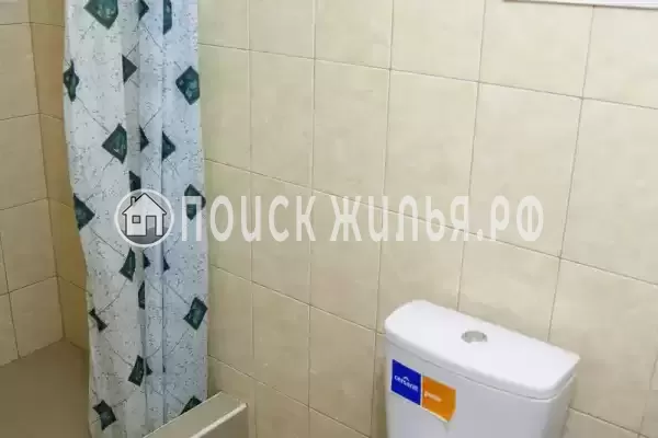 «Три березки» «Три березки»