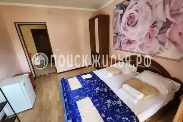 «Светлый» «Светлый»