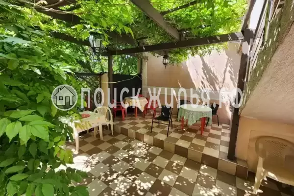 «Светлый» «Светлый»