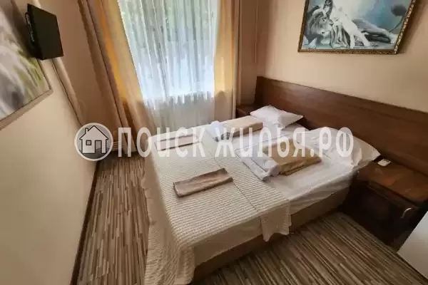 «Светлый» «Светлый»