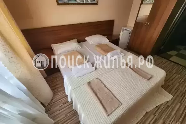 «Светлый» «Светлый»