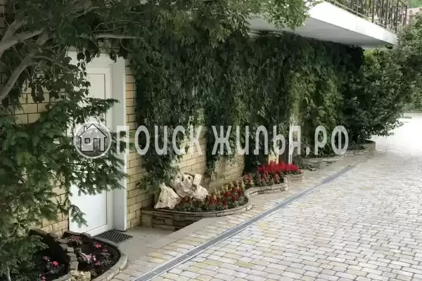 «Горный воздух»