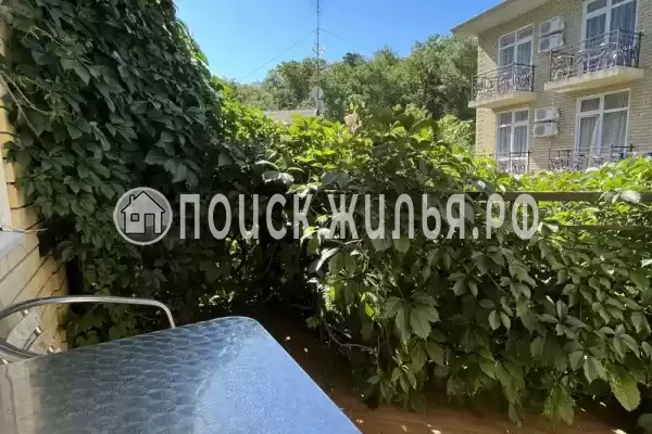 «Горный воздух»