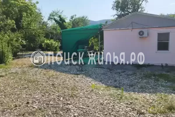 «Рыжий кот»