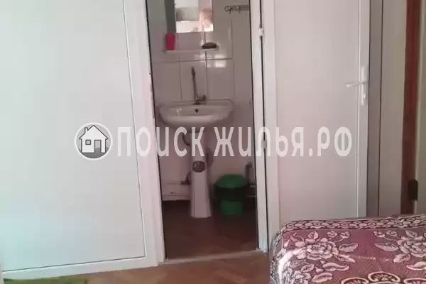 «Рыжий кот»