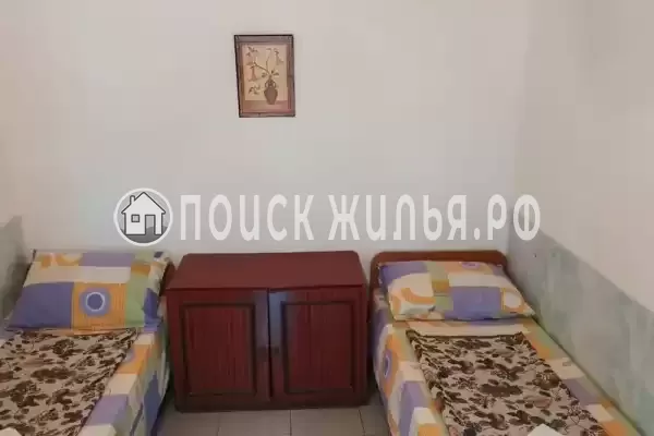 «Рыжий кот»