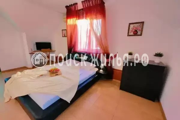 «Анли» «Анли»