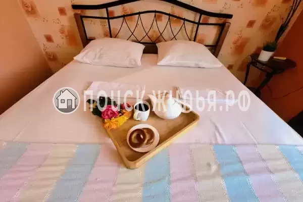 «Анли» «Анли»