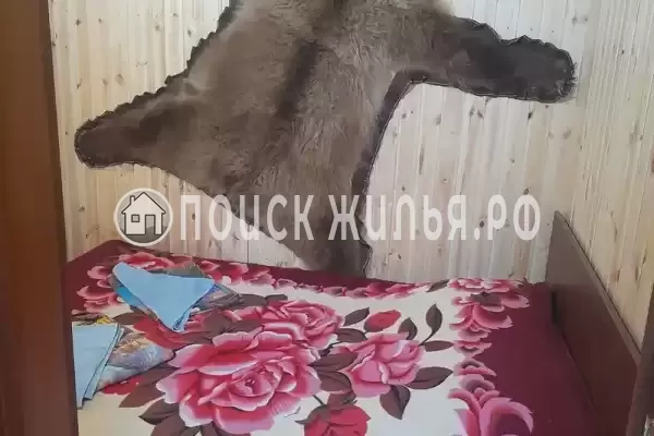 «Беренгия»