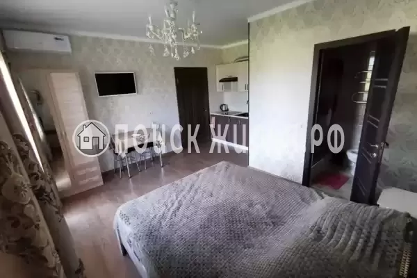 «Фламинго» «Фламинго»