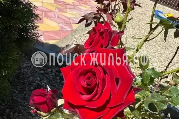 Дом под ключ, Новозападная, д.39 Дом под ключ, Новозападная, д.39