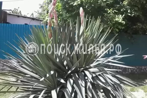 Квартира «В частном доме»