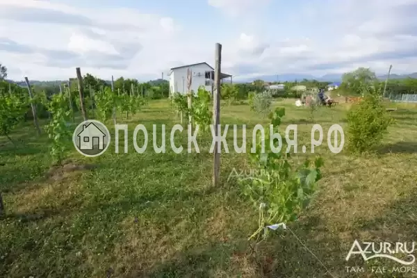 Гостевой дом «Пионер», Амзара Гостевой дом «Пионер», Амзара