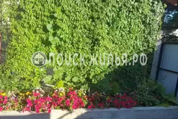 Частный сектор «Мандарин», Лоо Частный сектор «Мандарин», Лоо