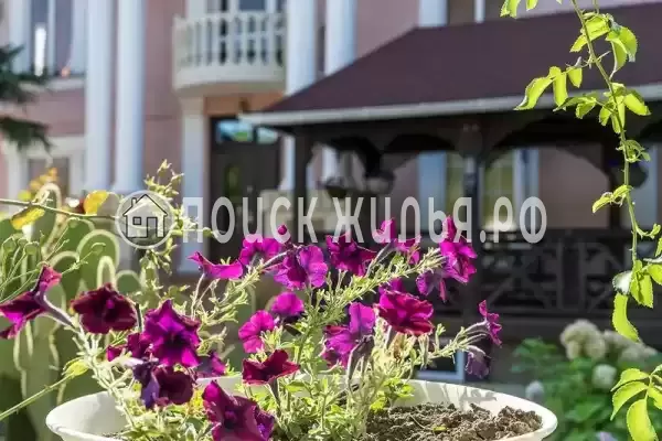 «Катюша», Вардане «Катюша», Вардане
