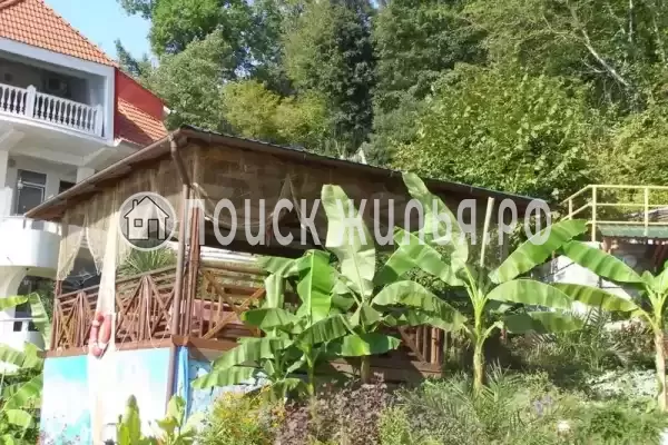 Гостиница «Русалочка Хоста», Хоста