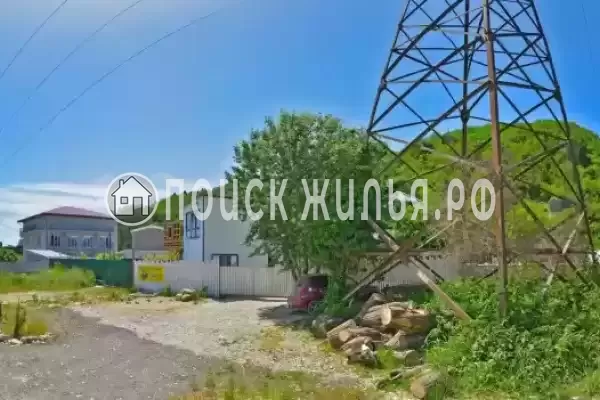 «Mountain», Шепси