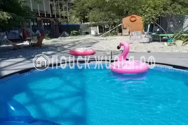 «Mountain», Шепси