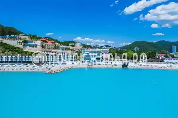 «Дельфин», Ольгинка «Дельфин», Ольгинка