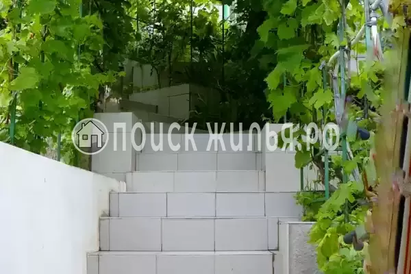 Частный сектор «Юрий», Алупка Частный сектор «Юрий», Алупка