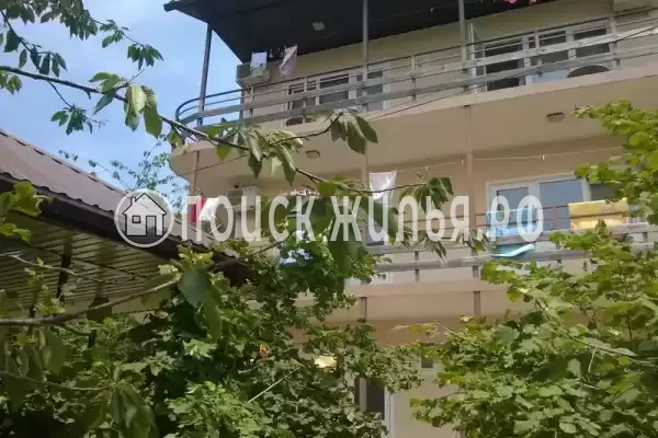 «У Светы и Давида», Макопсе