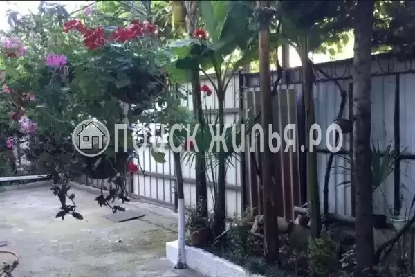 «У Эльдара», Адлер