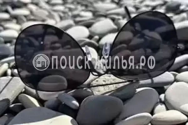 «Две столицы», Новомихайловский «Две столицы», Новомихайловский