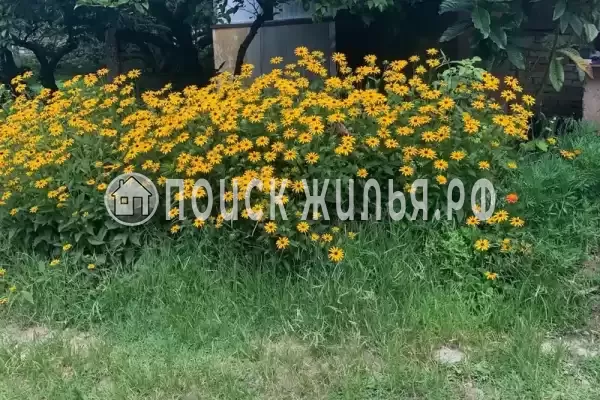 Гостевой дом «Каролина», Лдзаа Гостевой дом «Каролина», Лдзаа