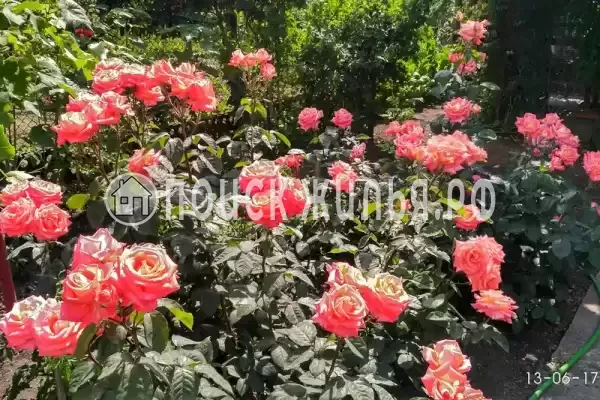 Частный сектор, Калинина, д.237, Ейск Частный сектор, Калинина, д.237, Ейск