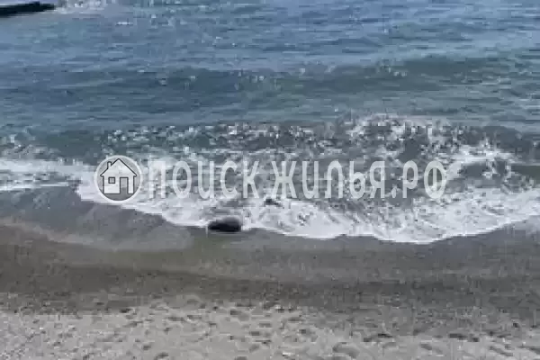 «Дача на маяке», Алушта