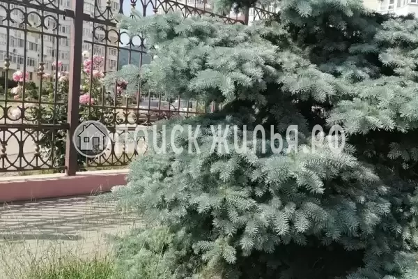 Квартира «2-комнатная в Корал Хаус», Лазаревское