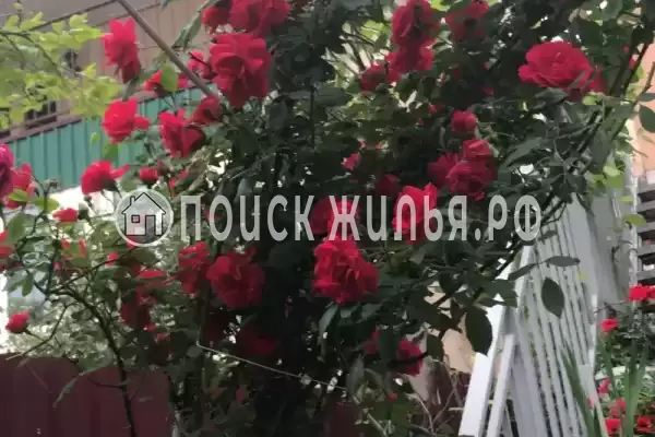 Гостевой дом «Монако», Адлер