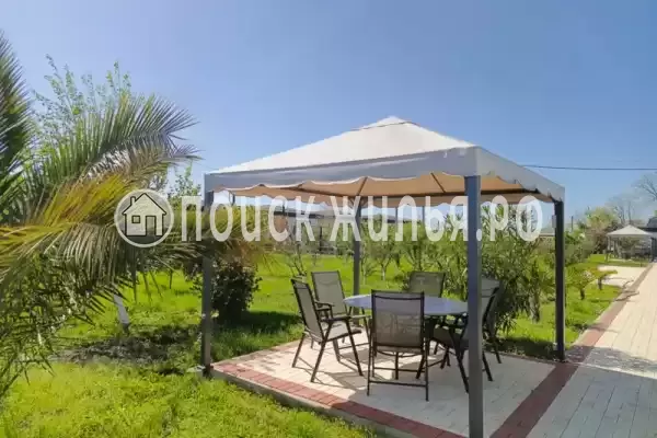 «Черный кот», Головинка