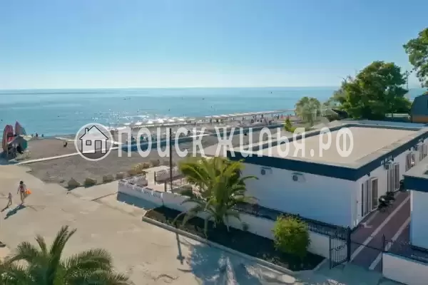 «Черный кот», Головинка